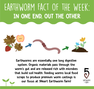 FOTW digestive system-17-17-17