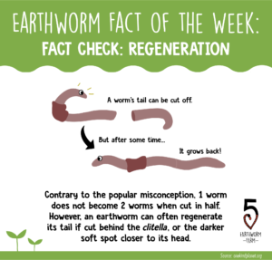 FOTW february-12