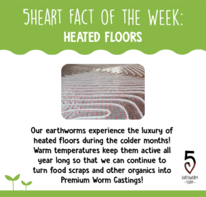 fotw-floor heat